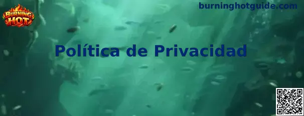 Política de Privacidad y protección de datos de Burning Hot
